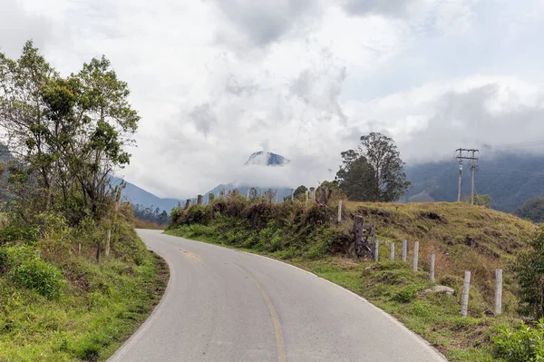 Kolombiya 'daki Cocora Vadisi