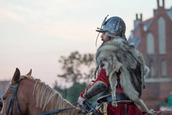 Vista Lateral Cavaleiro Medieval Cavalo — Fotografia de Stock