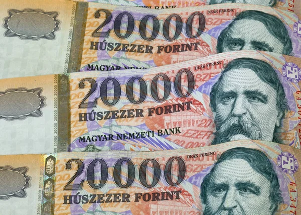 Primer Plano Muchos Billetes Húngaros — Foto de Stock