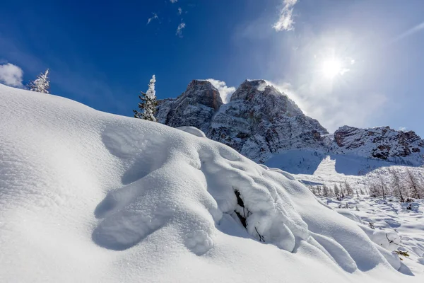 Paysage Hivernal Avec Arbres Enneigés — Photo