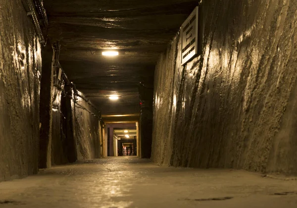 大木地板的地下隧道 — 图库照片