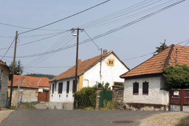 Kırsal alanda evler ve yeşil çimenler