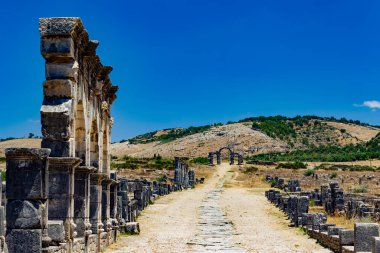 Eski hiyeraplis kalıntıları, pamukkale, hindi