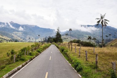 And Dağları, Kolombiya 'da yağmur mevsiminde Cocora Vadisi