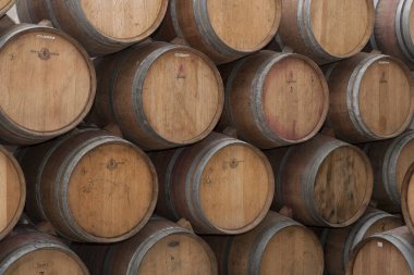 Mahzende şarap fıçıları