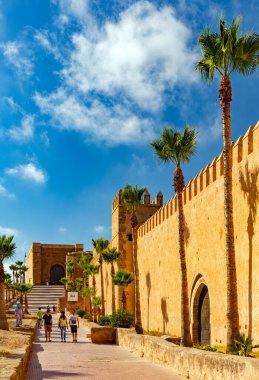 Fas 'taki Fez kasaba manzarası