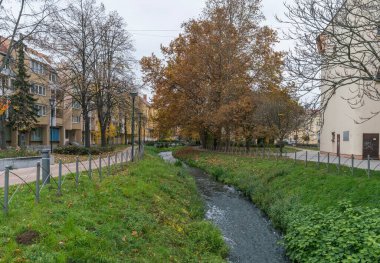 Baharda parkın manzarası