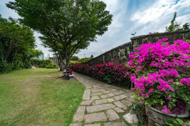 Çiçekleri ve bitkileri olan güzel bir bahçe.
