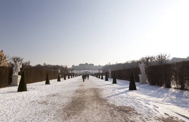 Karla kaplı ağaçlarla kaplı kış manzarası