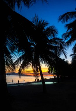 Sabahın erken saatlerinde Filipinler 'de tropik Bohol plajı