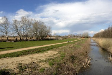 Ağaçlar ve nehirlerle kaplı bahar manzarası