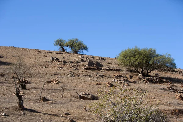 Vue Sur Désert Mort Israël — Photo