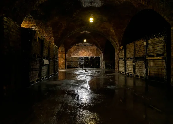 Budapest Unkari Kesäkuuta 2018 Torley Wine Companyn Viinikellari Torley Tuottaa — kuvapankkivalokuva