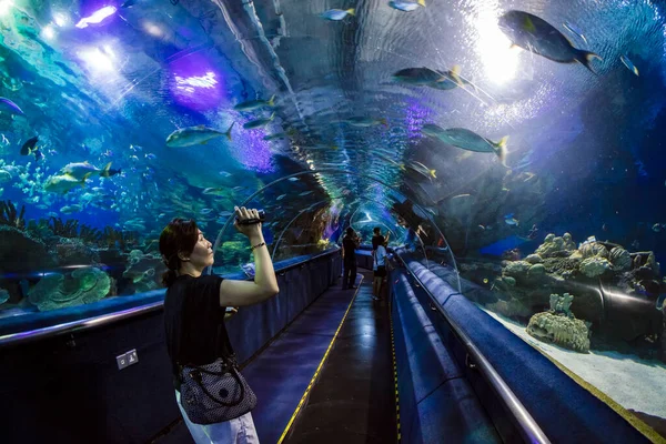 Kuala Lumpur Malaysia Styczeń 2017 Akwarium Oceanarium Położone Pod Centrum — Zdjęcie stockowe