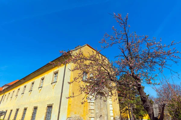 Widok Stare Miasto Ryga Łotwa — Zdjęcie stockowe