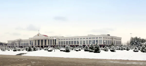 Vista Del Río Neva San Petersburgo Rusia — Foto de Stock