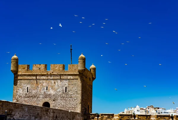 Blick Auf Die Altstadt Von Dubrovnik Kroatien — Stockfoto