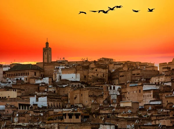 Vue Sur Ville Rome Italie — Photo