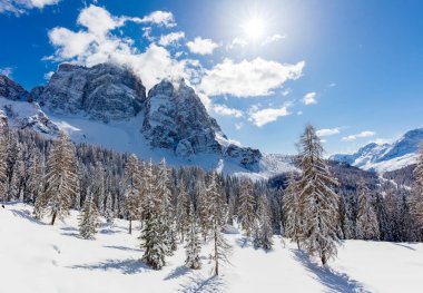 Karla kaplı ağaçlarla kaplı kış manzarası