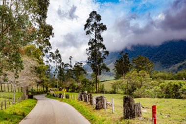 And Dağları, Kolombiya 'da yağmur mevsiminde Cocora Vadisi