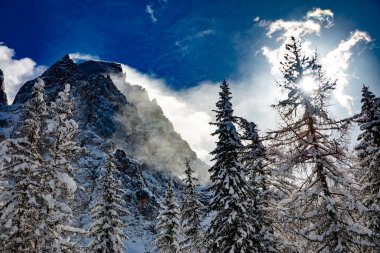 Karla kaplı ağaçlarla kaplı kış manzarası