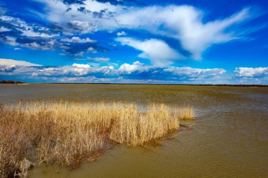 Nehrin bulutlu ve mavi gökyüzüyle manzarası