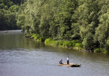 Ormandaki bir nehir manzarası