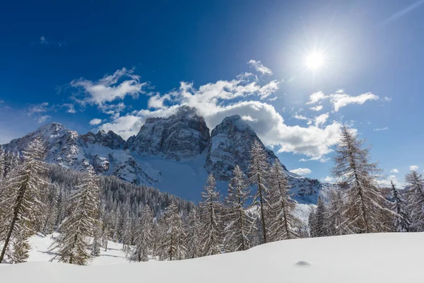 Paysage Hivernal Avec Arbres Enneigés — Photo