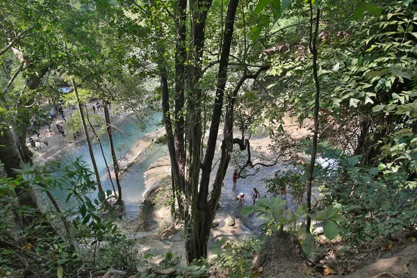 森の中の川は — ストック写真