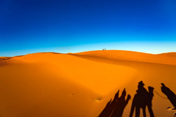 Shadows of people on camels in desert