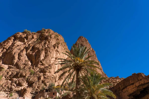 Vue Sur Désert Montagne Maroc — Photo