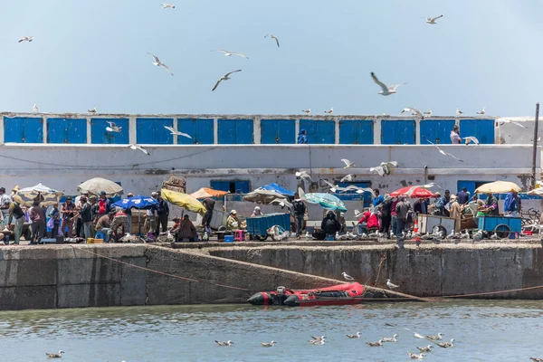 Essaouria Fas Haziran 2013 Tarihinde Essaouria Limanı Fas Essaouria Fas — Stok fotoğraf