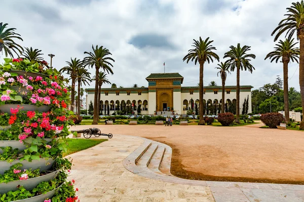 Beau Jardin Tropical Avec Palmiers Ciel Bleu — Photo