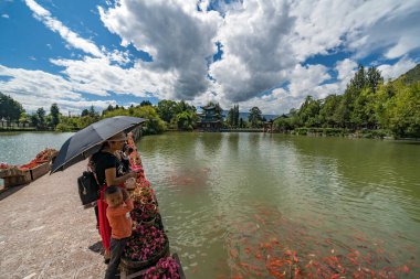 İnsanlar nehirde balık besliyor. 