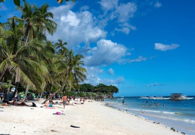Palmiye ağaçları ve mavi gökyüzü olan tropik plaj