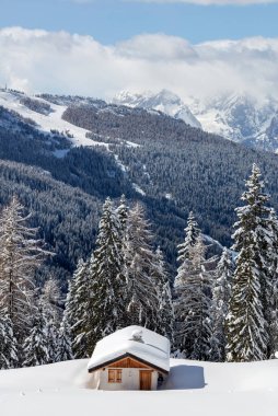 Karla kaplı ağaçlarla kaplı kış manzarası