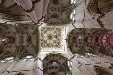 St. Vitus, Prag, Czech Cumhuriyeti Katedrali