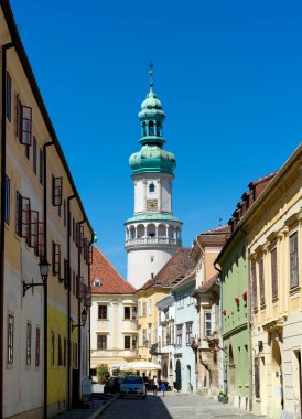 Czech Cumhuriyeti 'nin eski Cesky Krumlov kasabasının manzarası