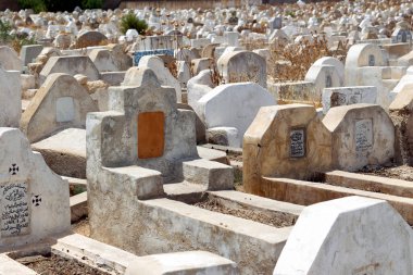 Ephesus 'taki antik Yunan mezarlığı, hindi