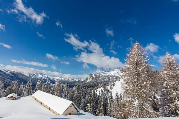 Paysage Hivernal Avec Arbres Enneigés — Photo