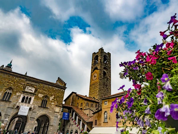 Blick Auf Die Altstadt Von Siena Italien — Stockfoto