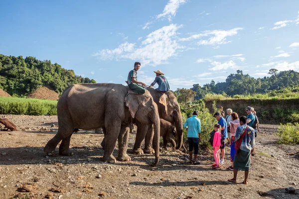 Personas Que Viajan Elefante Myanmar —  Fotos de Stock