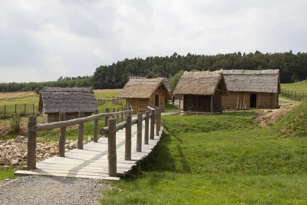 Lantligt Landskap Med Trähus Och Grönt Gräs — Stockfoto