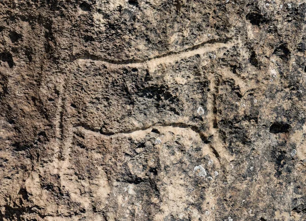 Antiguos Petroglifos Tallados Roca Parque Nacional Gobustan Exposición Petroglifos Gobustán — Foto de Stock