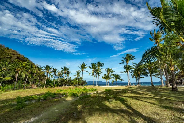 热带海滩 有棕榈和蓝天 — 图库照片