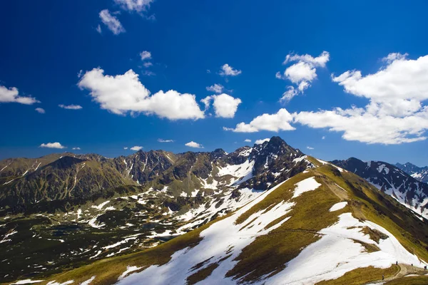 Vista Dos Picos Montanhosos Dos Alpes Nos Alpes Suíços — Fotografia de Stock