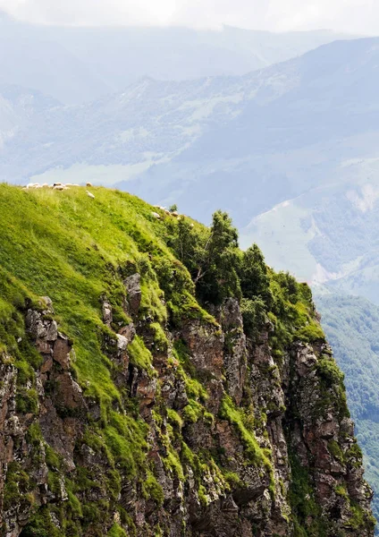 Bergwelt Mit Grünem Gras — Stockfoto