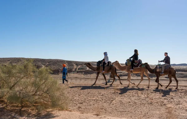 Gente Montada Camellos Desierto — Foto de Stock