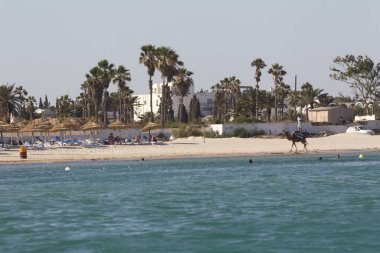 Sahil ve deniz manzarası