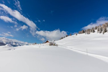 Karla kaplı ağaçlarla kaplı kış manzarası